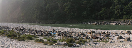 Rafting in Rishikesh